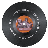 New Orleans Spinning Sticker by LessWork4You