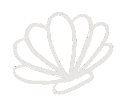 Seashell Sticker