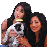 Girl Group Puppy Sticker by BuzzFeed