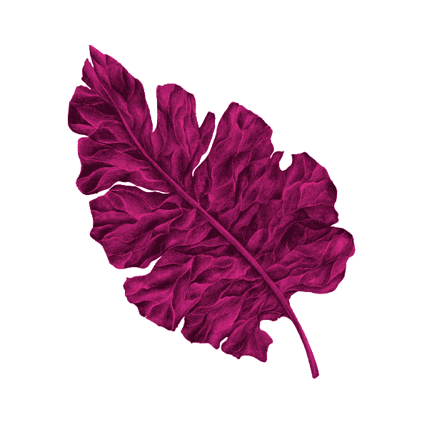 Pink Leave Sticker