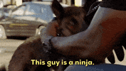 Steve Mcgarrett Tani Rey GIF by CBS