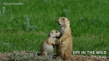 bbc one GIF by BBC