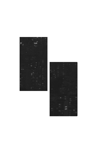 Artist Korea Sticker by OPCD