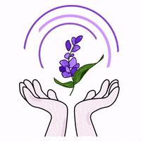 purplizer_purpleday  GIF