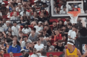 Dallas Mavericks Basketball GIF by NBA