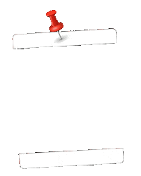 Selfie Frame Sticker