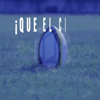 Elbancodelrugby GIF by Banco de  Chile