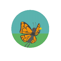 LioxFoundation butterfly coins liox foundation liox Sticker