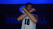 Gocougs Ncaavolleyball GIF by BYU Cougars