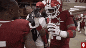 Happy College Sports GIF by Indiana Hoosiers