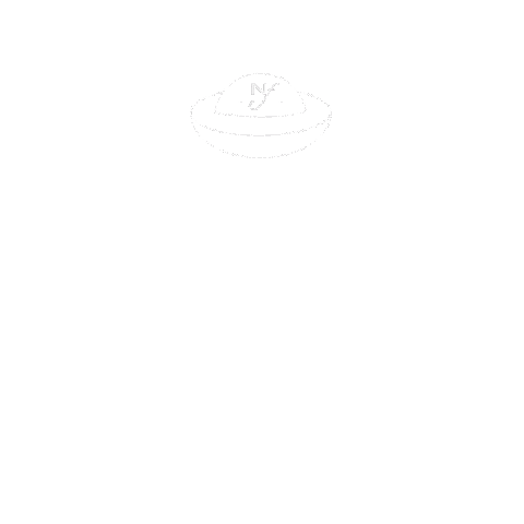 nardiniforniture giphyupload home 2020 alien Sticker