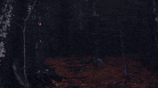 dark forest GIF by Polyvinyl Records