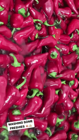 Hot Sauce GIF by adoboloco