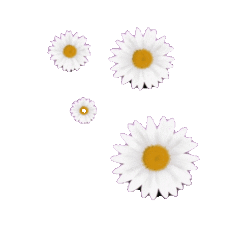 elistorycriativo flower flores flor elistorycriativo flor Sticker