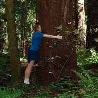 Mother Nature Hug GIF