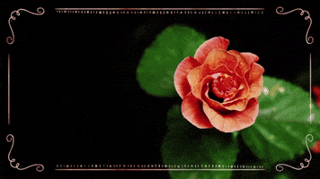 Happy International Women's Day