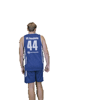 Bensheim Sticker by VfL Basketball