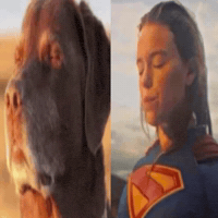 Its Over Son GIF