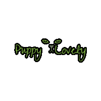 PuppyLovely green cats stickers canada Sticker
