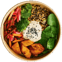 Bowl Sticker by Foodmaker