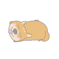Shiba Tomorrow Sticker