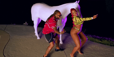 Ty Dolla Sign Hottie GIF by Megan Thee Stallion