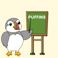 Learn Back To School GIF by Puffins