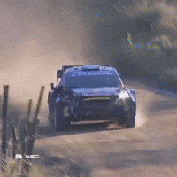 Keep On Moving No Problem GIF by FIA World Rally Championship