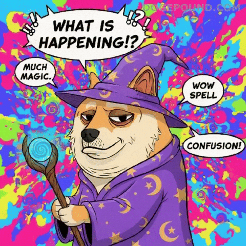 Magic What GIF by Doge Pound