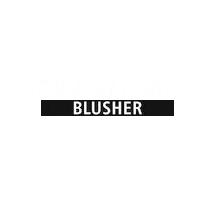 Cosmetics Blusher Sticker by PAC