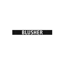 Cosmetics Blusher Sticker by PAC