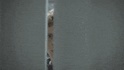 the oa netflix originals GIF by NETFLIX