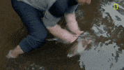 Gordon Ramsay Fishing GIF by National Geographic Channel