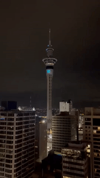 New Zealand Rings in New Year With Auckland Fireworks Show