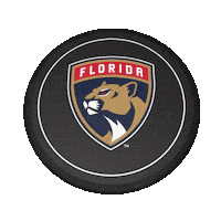 Ice Hockey Sticker by Florida Panthers
