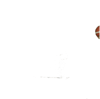 Basketball Basket Sticker by Movistar Estudiantes