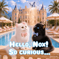 Whitecat Magicalmoment GIF