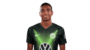João Victor Soccer Sticker by VfL Wolfsburg