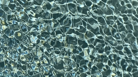 tankproof giphyupload GIF