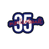 Nhl Canadiens Sticker