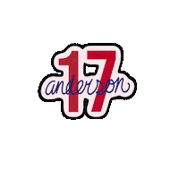 Nhl Anderson Sticker