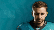 GIF by Belfast Giants