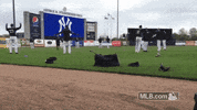 nyy GIF by MLB