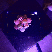 Weed Cannabis GIF by Klein Media