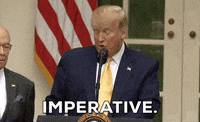 news donald trump 2020 census GIF
