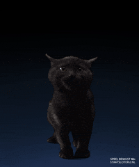 Black Cat GIF by Staatsloterij