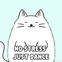 Happy White Cat GIF by MESA My Emotional Support Animal