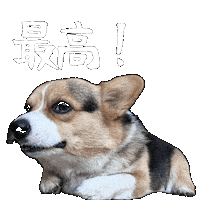 Corgi Milo Sticker