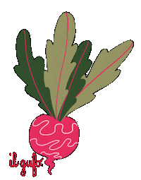 Plants Vegetables Sticker by Il Gufo