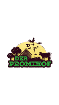Sticker by RTLZWEI
